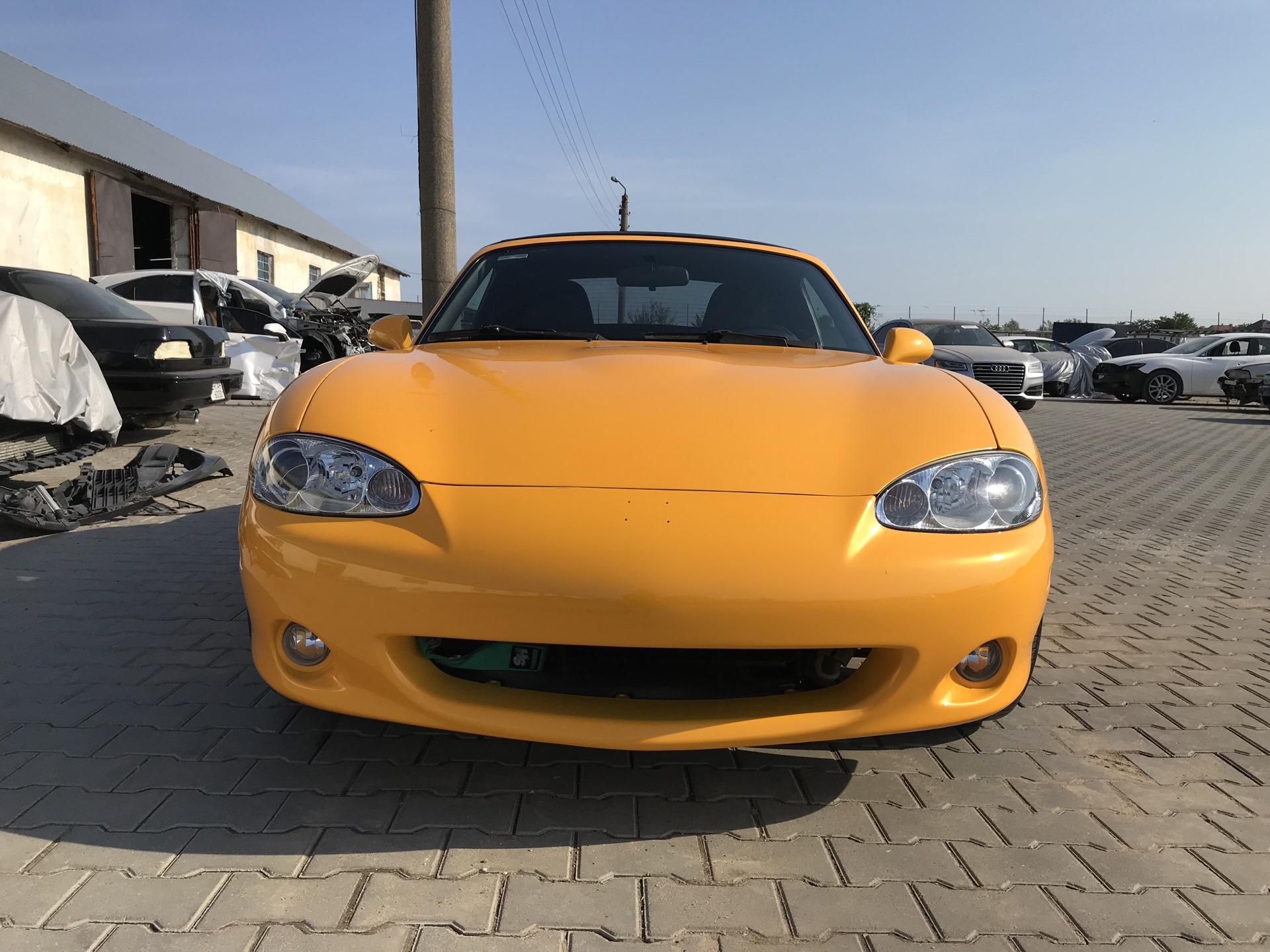 Газы картера или как снять половину навесного… — Audi A4 Avant (B5), 1 ...