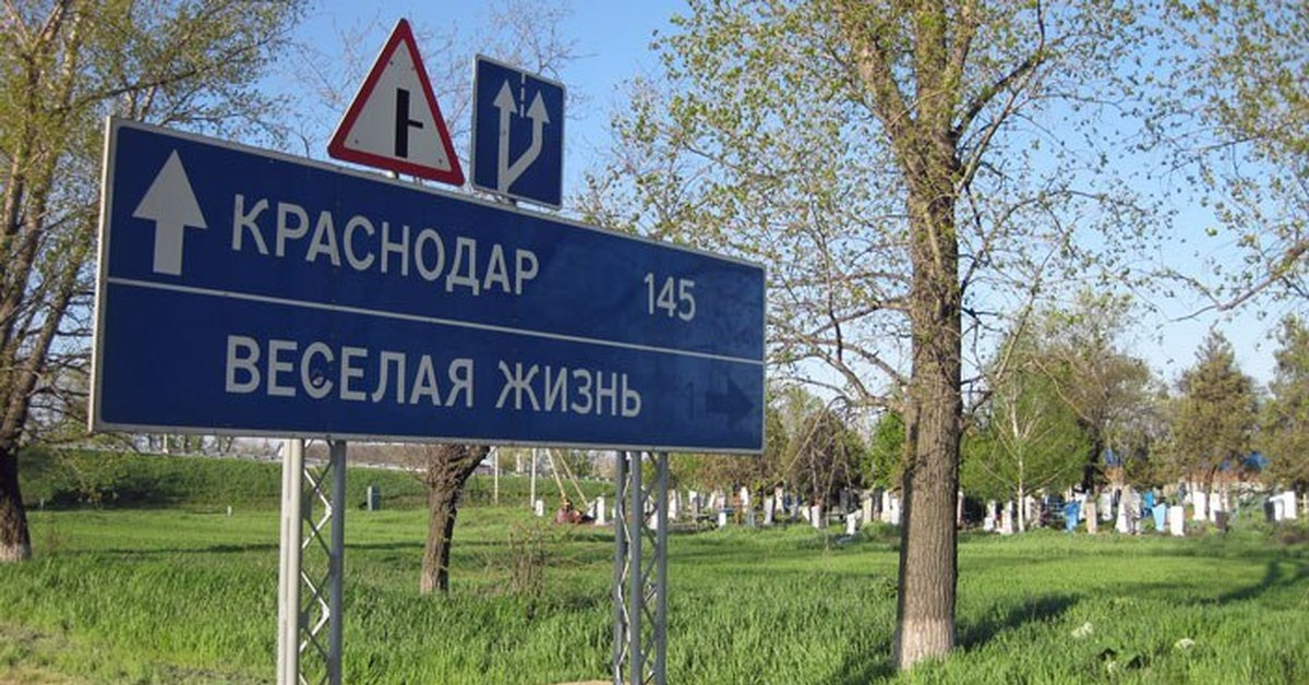 Веселая жизнь картинки