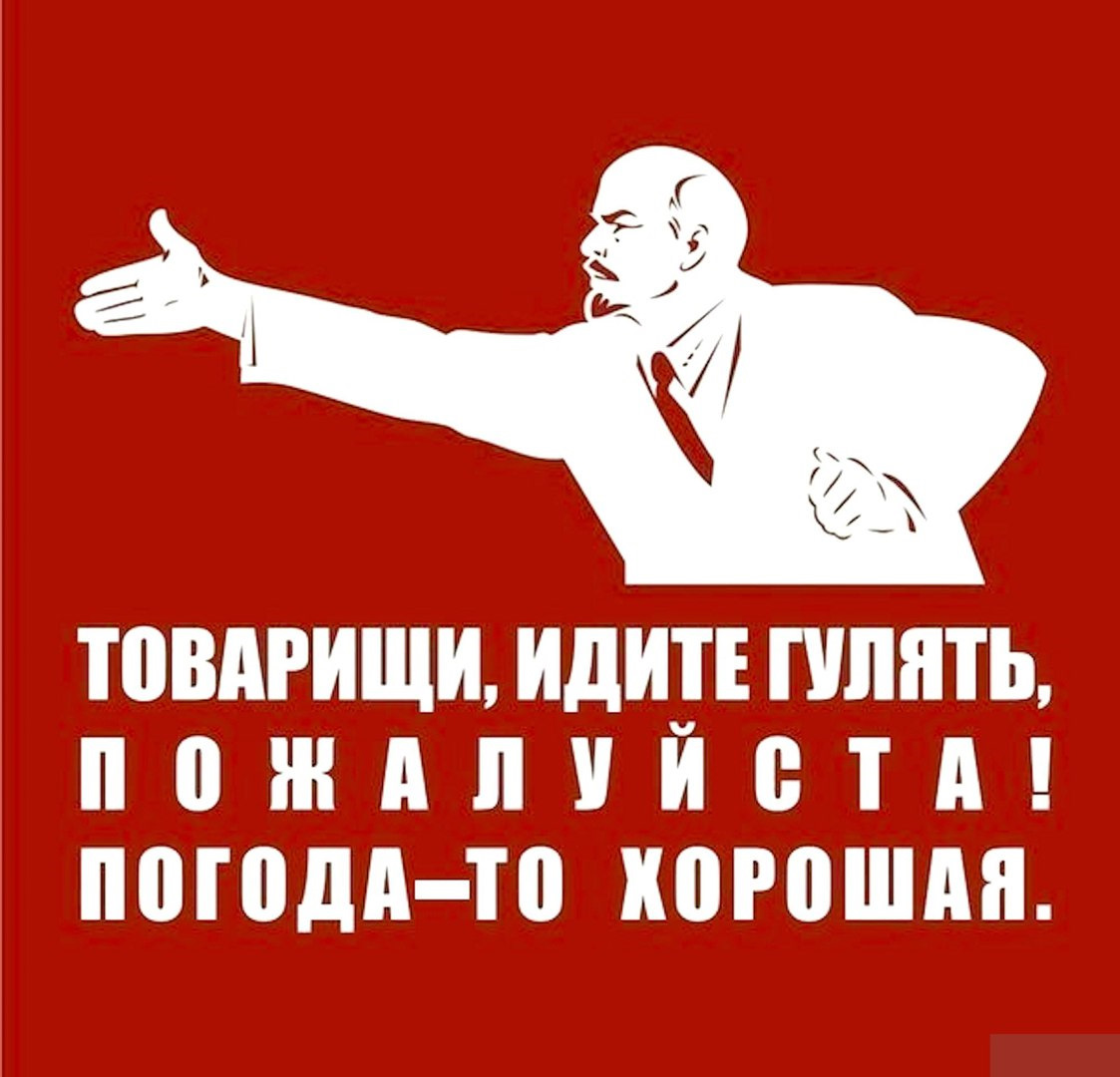 Нет мы будем гулять. Ты пойдешь гулять. Собака хочет гулять. Кто выйдет гулять. Зови если что.