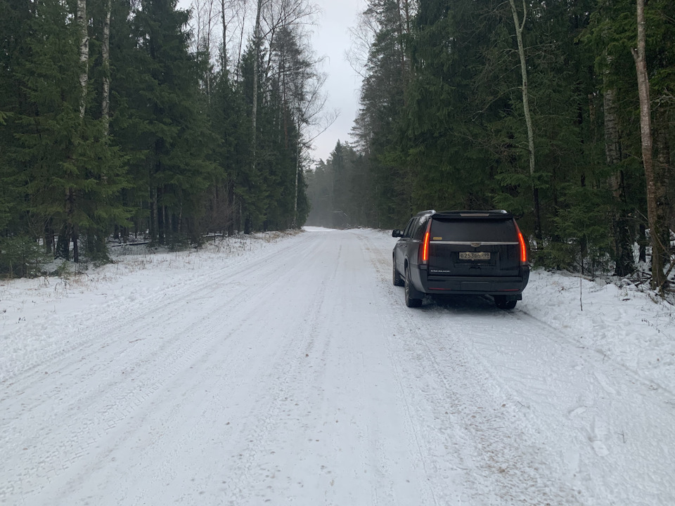 2kAAAgNAReA 960 доброград что посмотреть достопримечательности