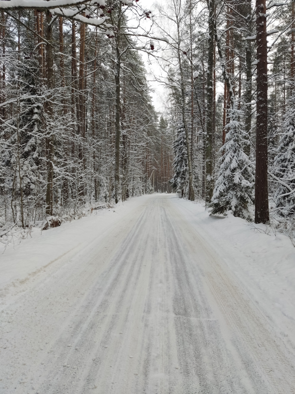 Зимний пакет 🥶 — Lada Гранта Лифтбек (2G), 1,6 л, 2021 года ...