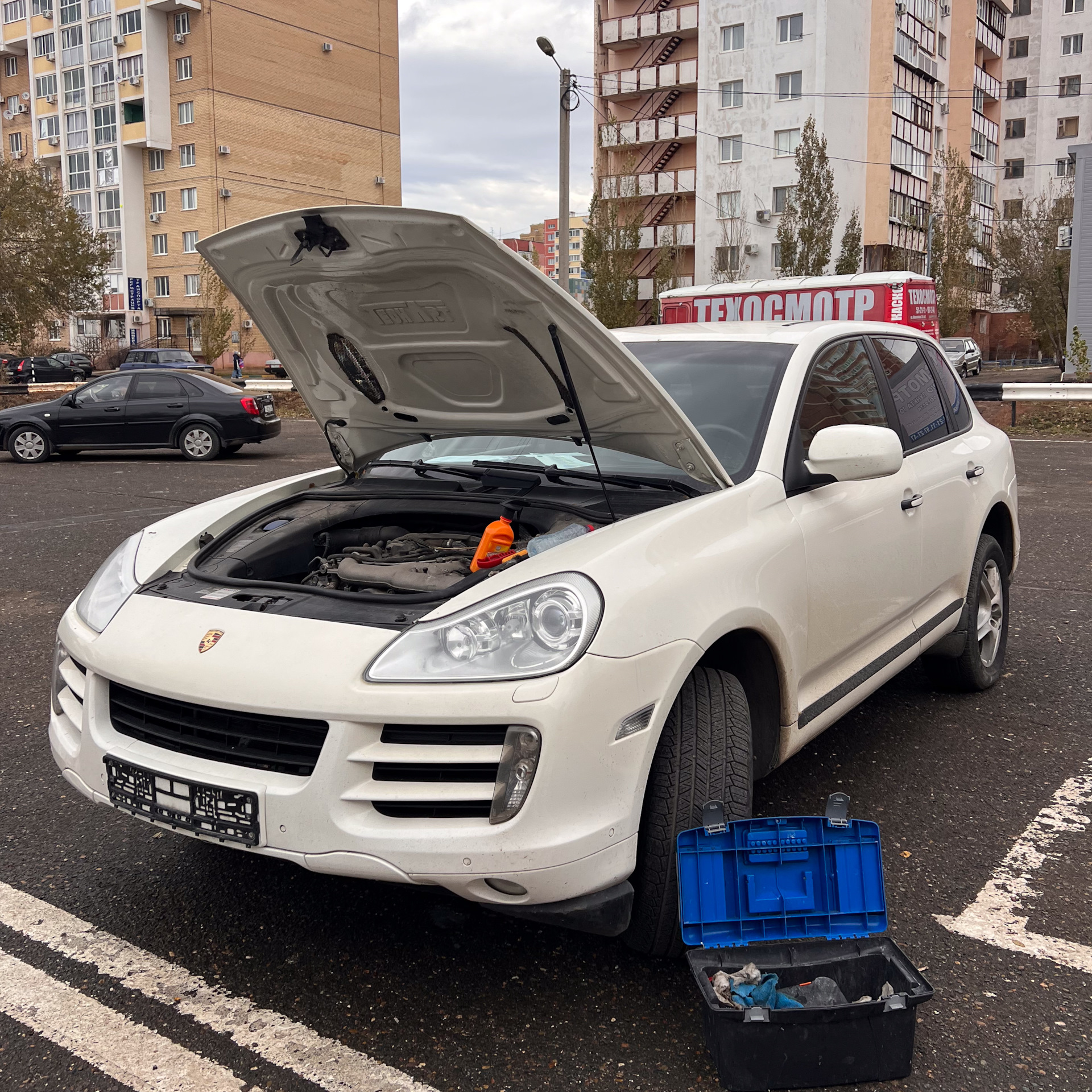 Поиск и покупка Cayenne в Оренбурге — Porsche Cayenne (1G) 955/957, 3 л,  2009 года | покупка машины | DRIVE2