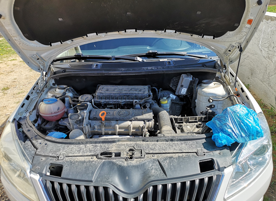 Мойка двигателя — Skoda Fabia Mk2, 1,6 л, 2013 года | мойка | DRIVE2