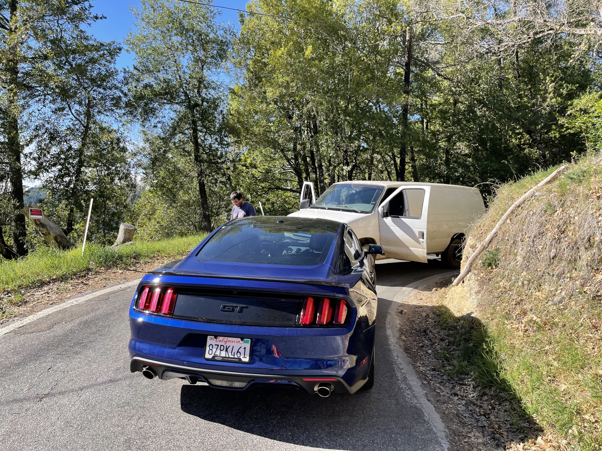 Олень забодал 🤬 — Ford Mustang (6G), 5 л, 2016 года | ДТП | DRIVE2