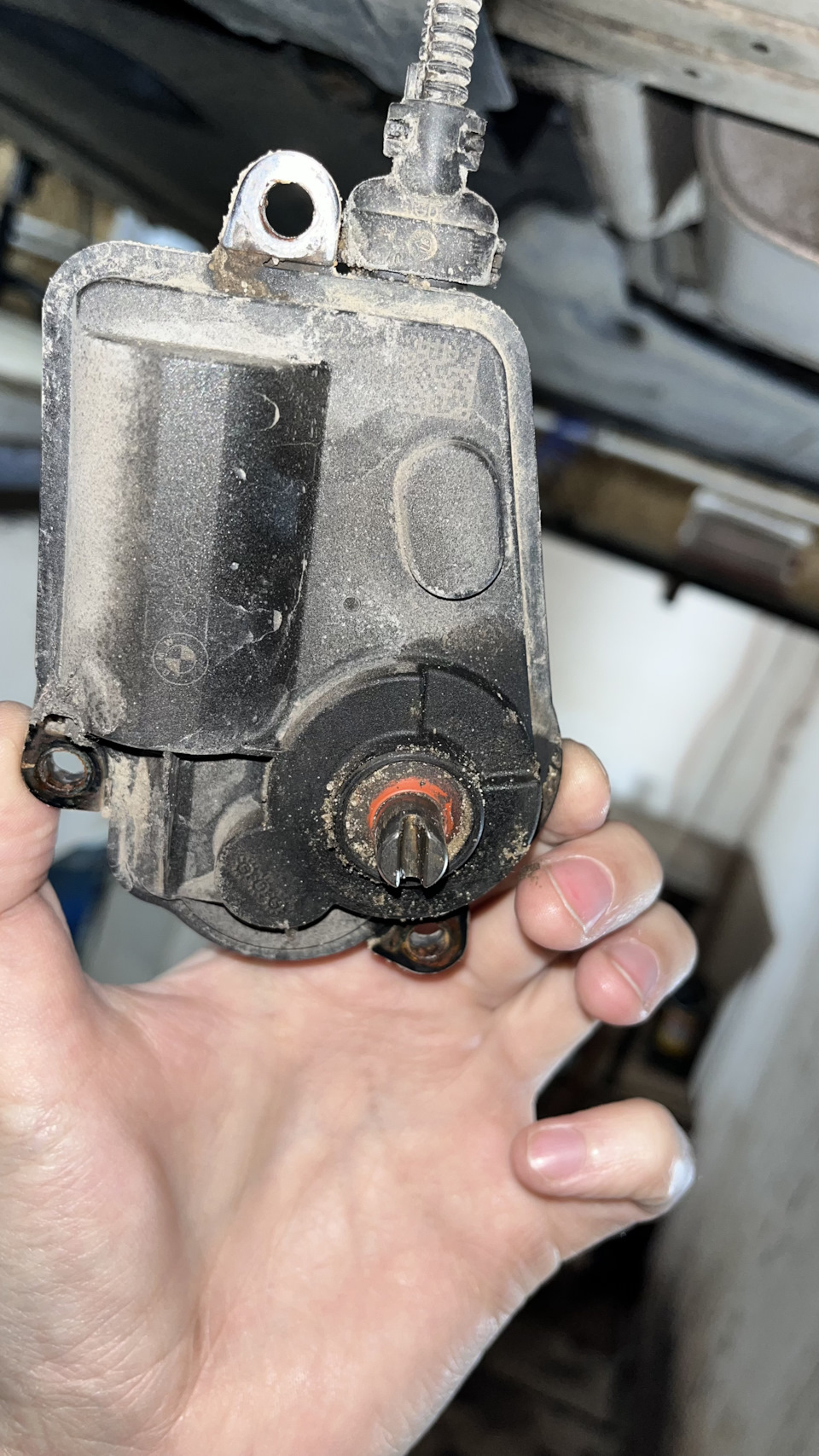 Заслонка в выхлопной трубе — BMW X3 (G01), 2 л, 2019 года | своими ...