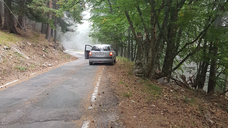ХЕЛП Масло в ГУР — KIA Rio 5-door (2G), 1,4 л, 2006 года | поломка | DRIVE2