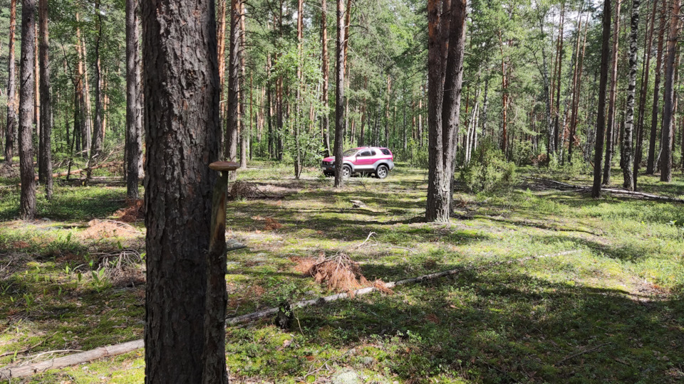 Фото в бортжурнале Isuzu VehiCross