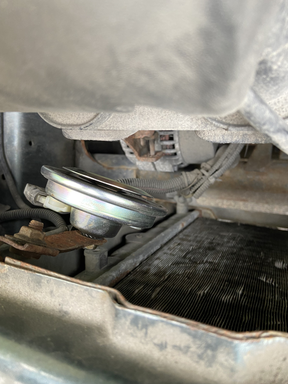 Замена звукового сигнала — Lada Приора седан, 1,6 л, 2008 года | своими ...