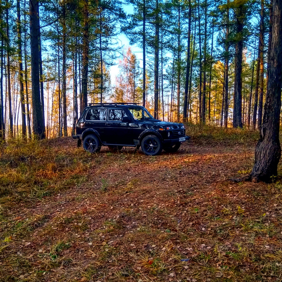 Нивка в лесу. - Lada 4x4 3D, 1,7 л, 2013 года покатушки DRIVE2