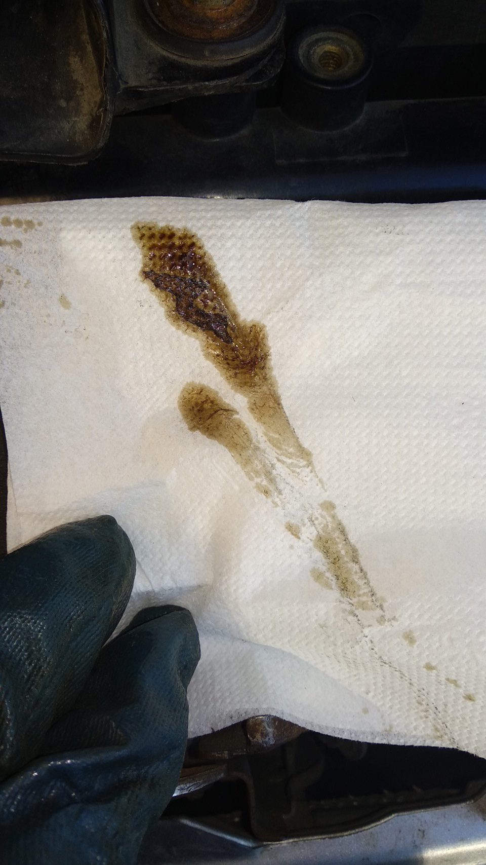 Фото в бортжурнале KIA Sportage (1G)