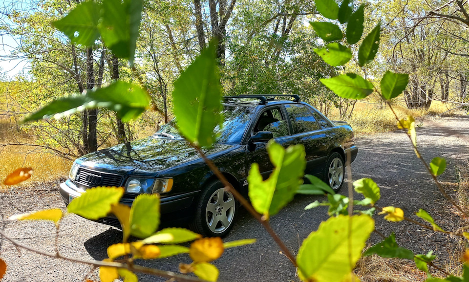 Фото в бортжурнале Audi 100 (C4)