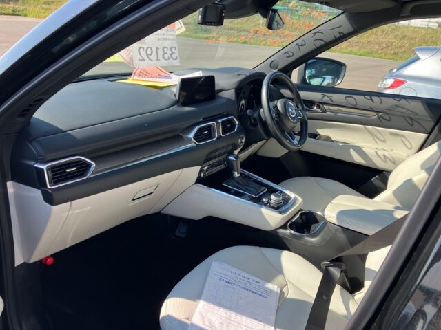 Фото в бортжурнале Mazda CX-8