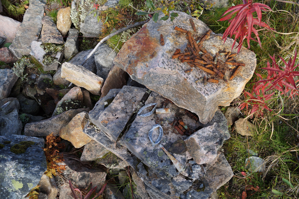 Вокруг полно немецкого барахла — ржавые патроны, ложки, консервы и пр. — Nissan Terrano III