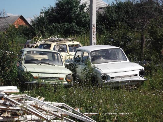 Заброшенный Запорожец в лесу