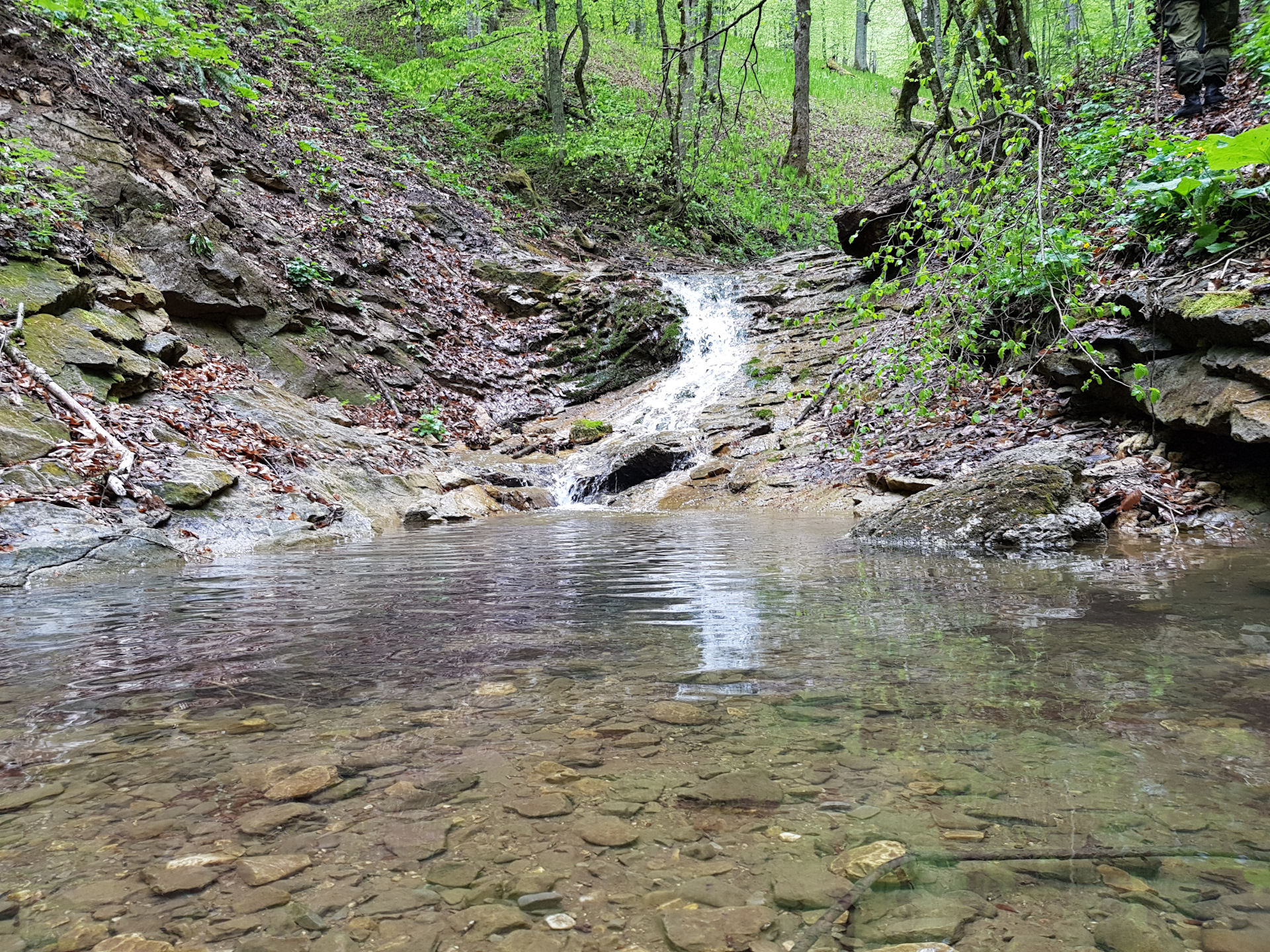 Никитино краснодарский край фото