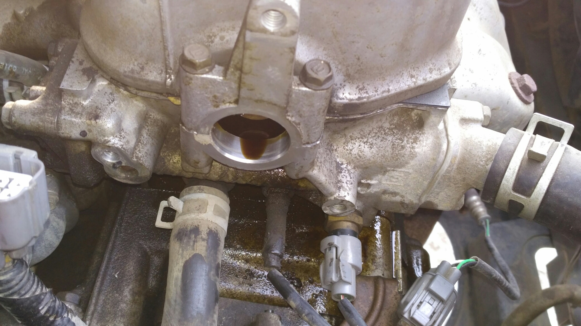 прокладка клапанной крышки калина 1. ваз 21 10 течет масло со стороны заглушки. Honda accord 7 ,потекло масло с задней части двигателя. течет масло из клапана vvti. течет масло l200.