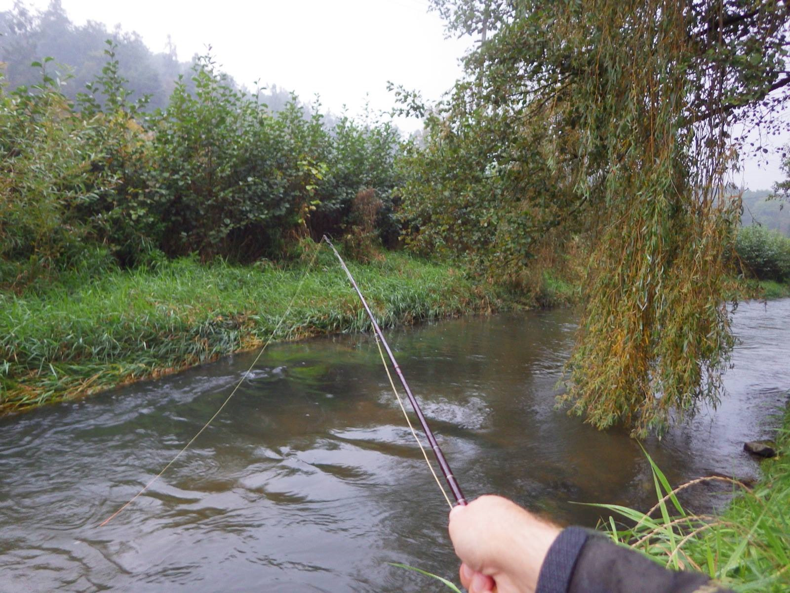 Рыбалка на реке день. Ловля в ручьях. Рыбалка в ручье. Рыбалка на маленькой речке. Ловля на маленькой речке.