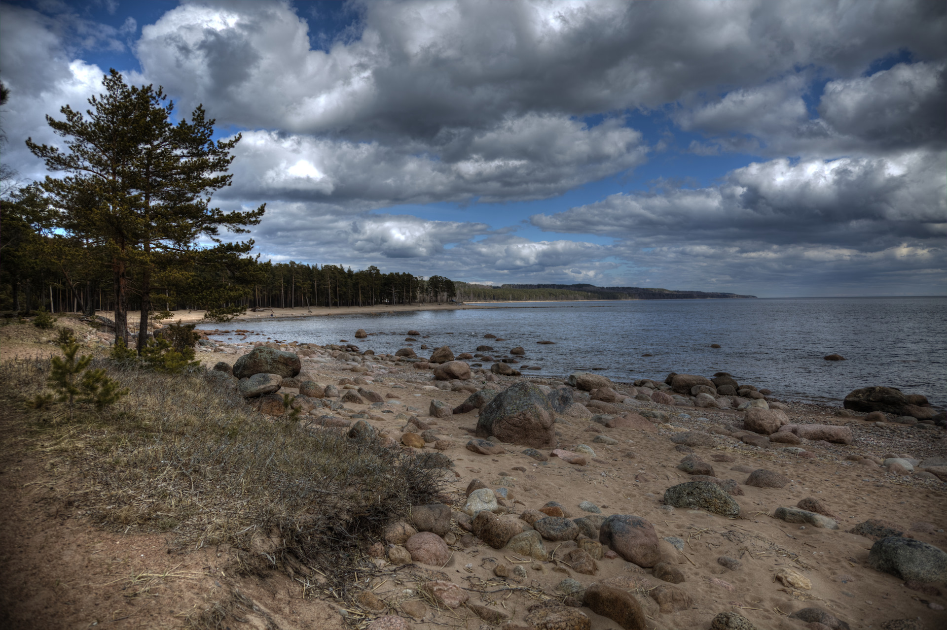 Сосновый Бор в Питере финский залив