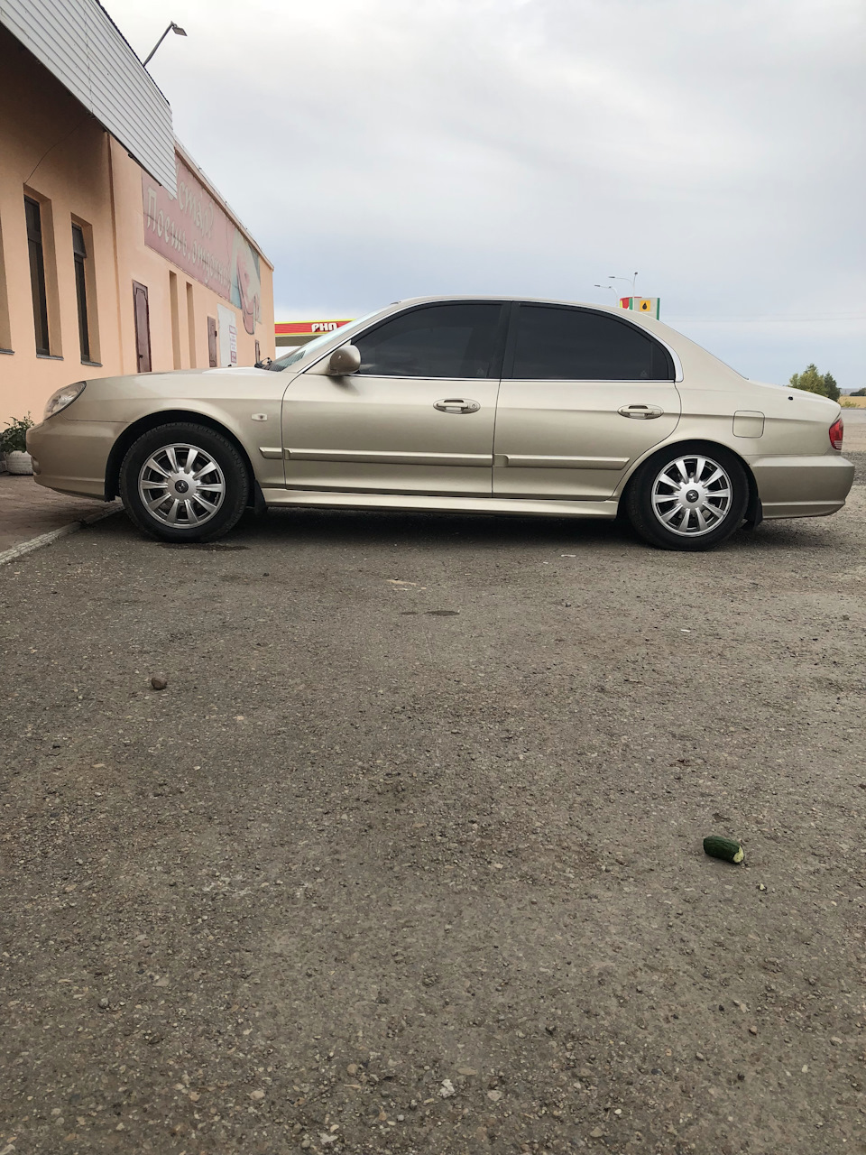 Волгоград-Омск — Hyundai Sonata IV (EF), 2,7 л, 2006 года | путешествие |  DRIVE2