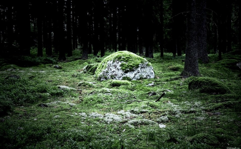 Магнитный пазл 27x18см."Лес, камень, дерево" на холодильник - купить в интернет-