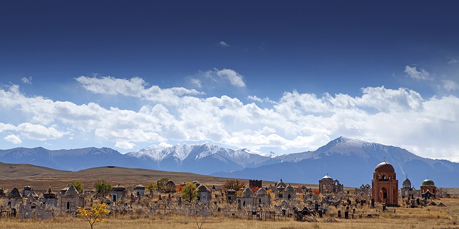 Фото в бортжурнале Infiniti QX70