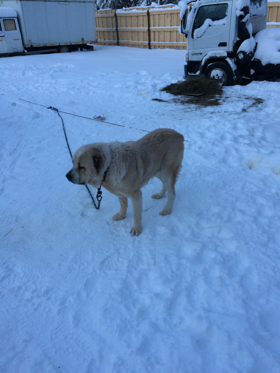 Фото в бортжурнале Chevrolet Suburban (8G)