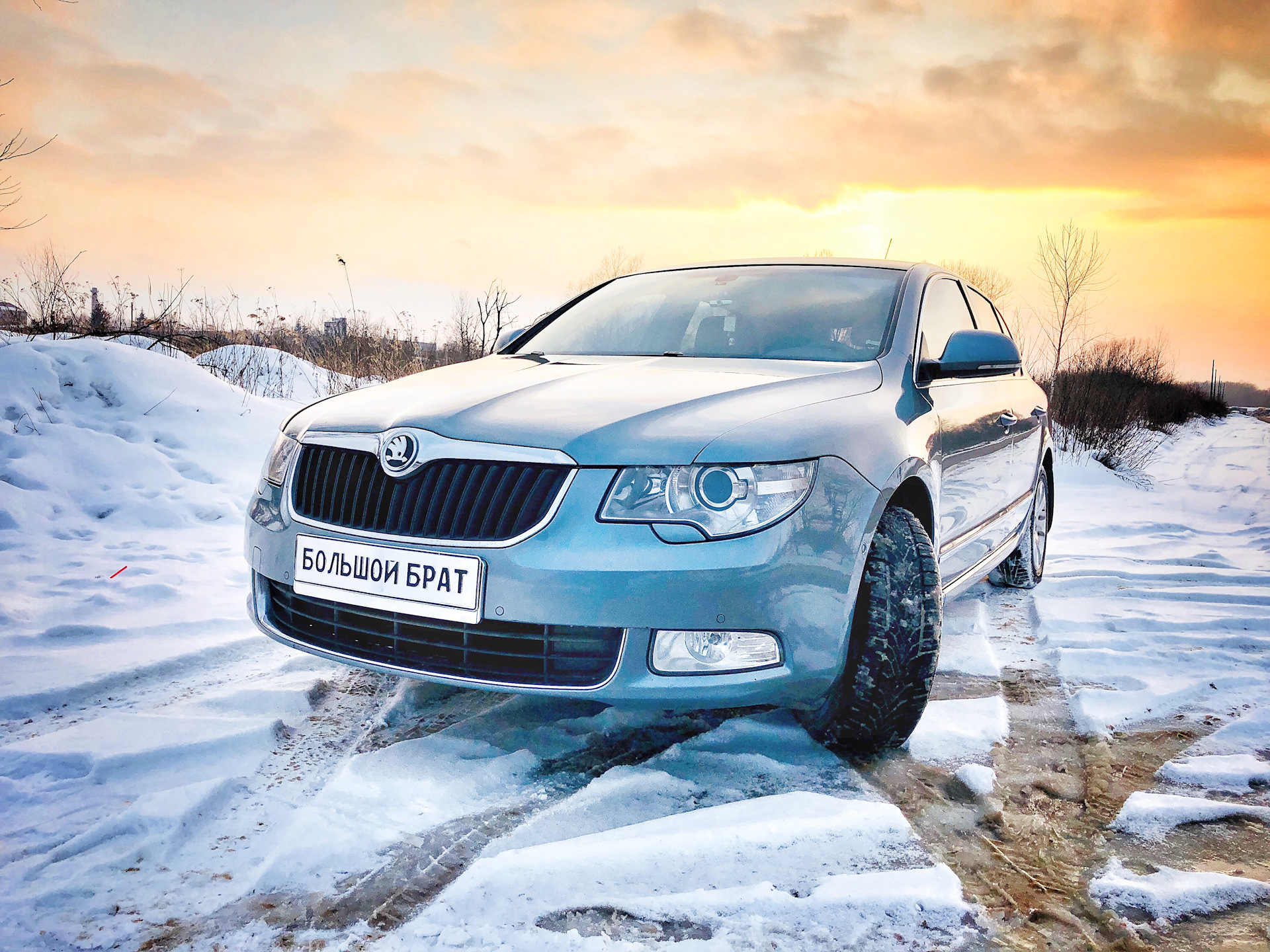 Skoda Superb Winter Forest