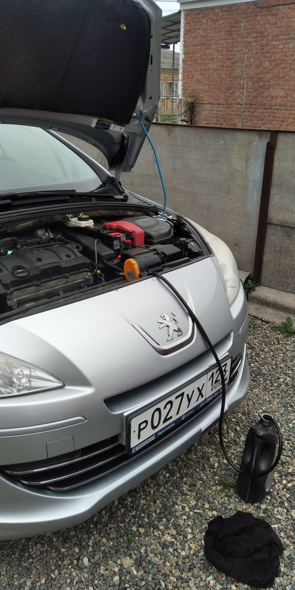 Замена масла в ДВС. Прокачка сцепления. 11.04.23г. — Peugeot 408, 1,6 л ...