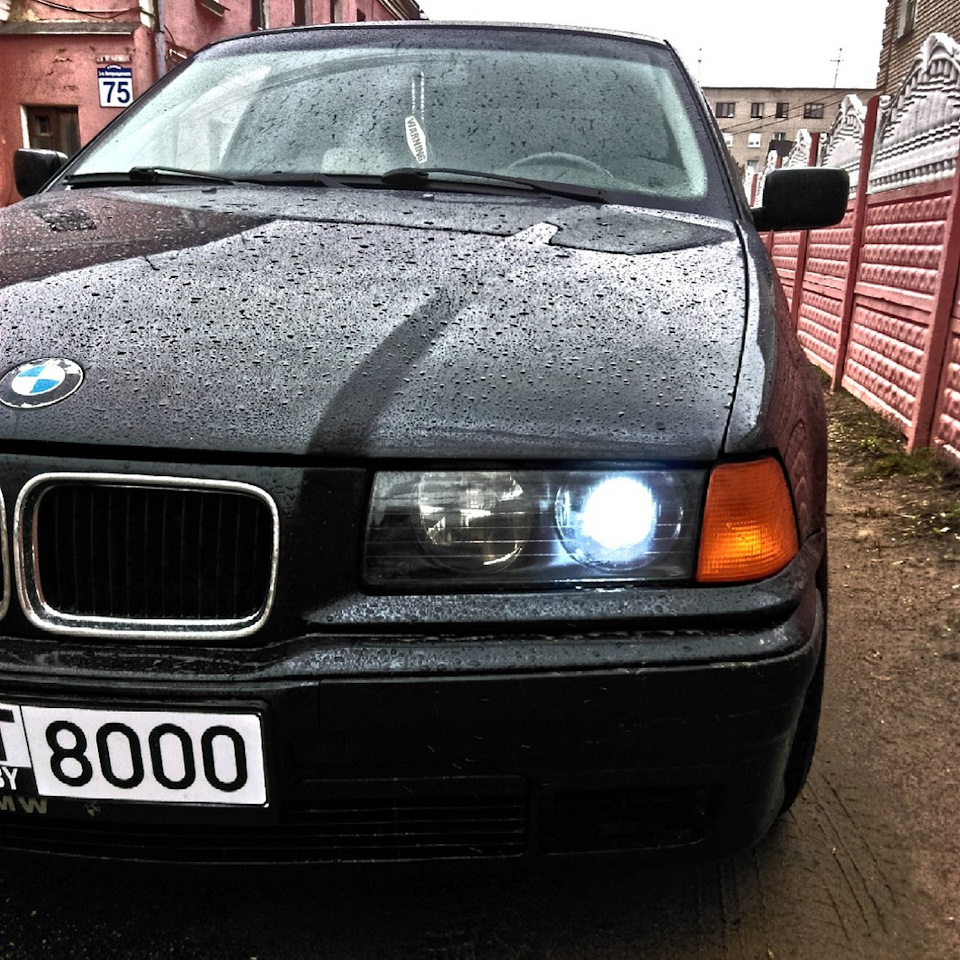 Продажа и последние фото малышки — BMW 3 series (E36), 1,6 л, 1993 года ...