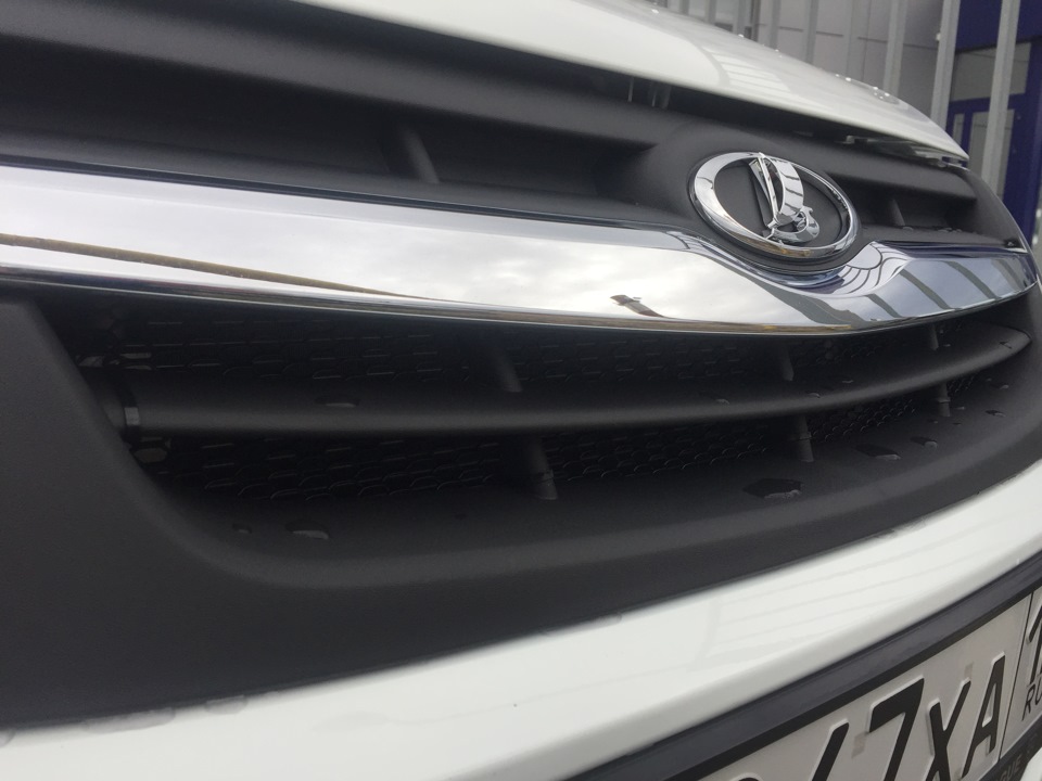 Защитная сетка радиатора — Lada Гранта (1G), 1,6 л, 2015 года ...