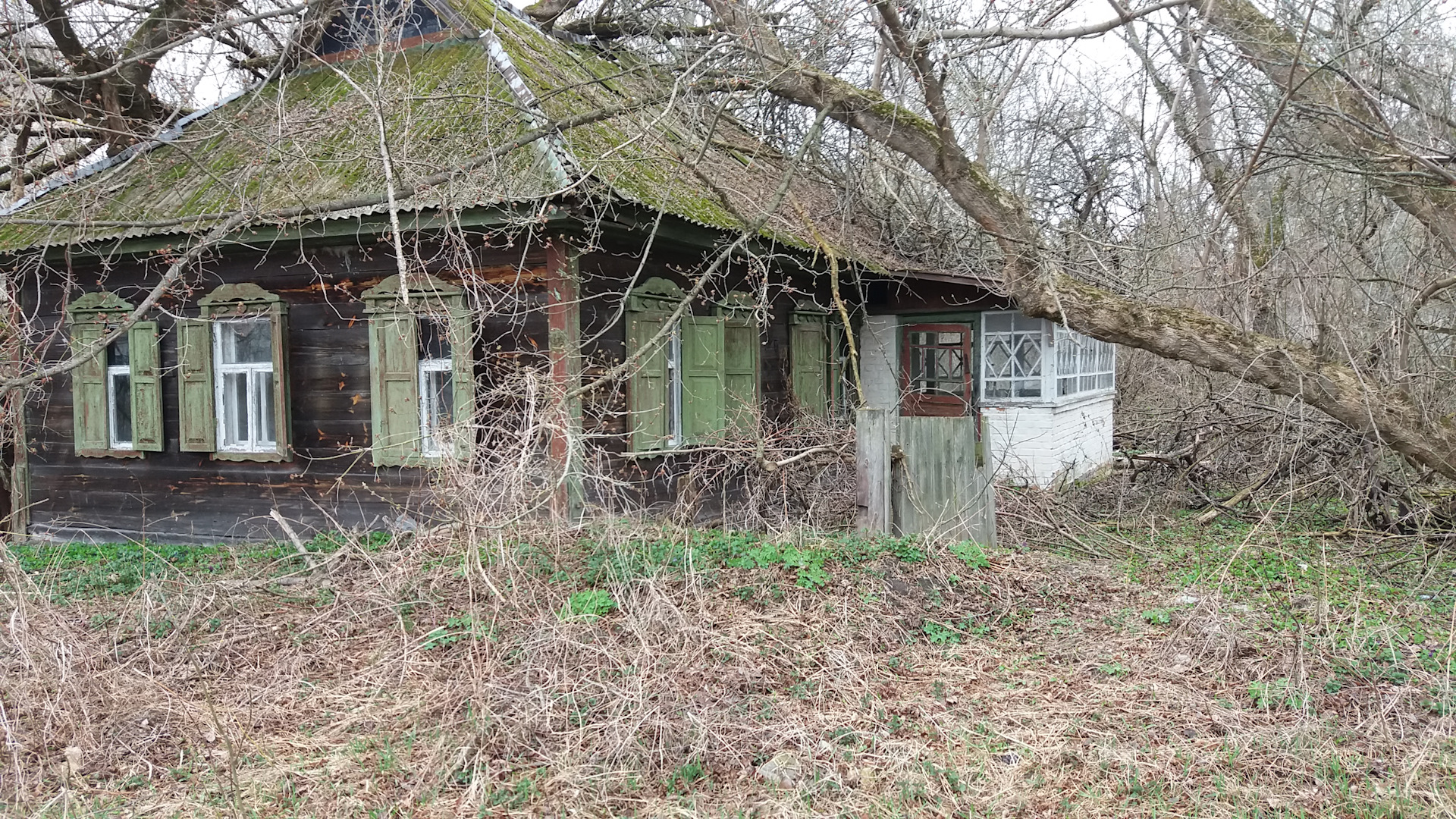 Чернобыль деревня копачи. Чернобыль деревня копачи. Чернобыль деревня копачи. Село копачи чернобыль. Село копачи припять.