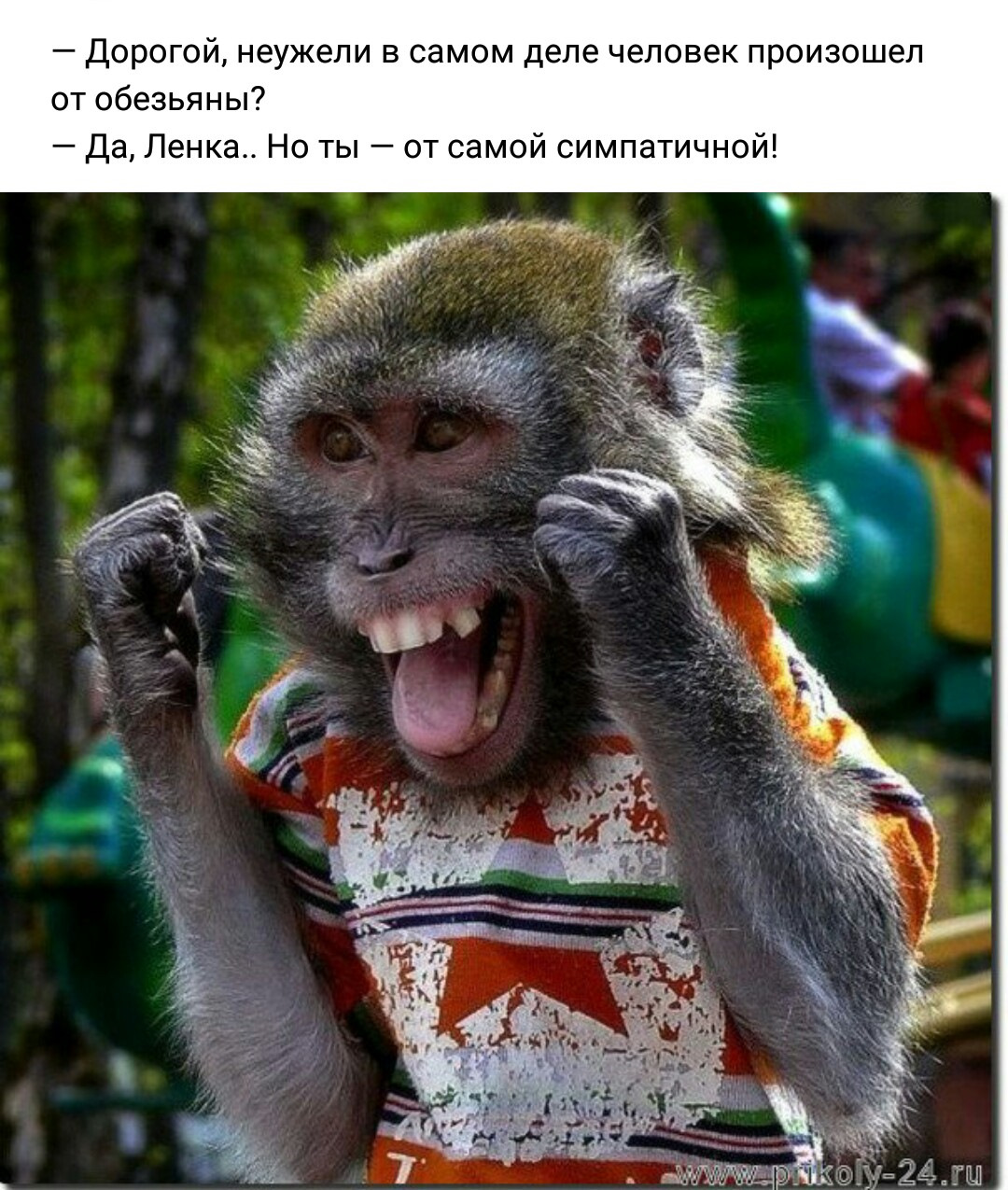 Картинки смешных обезьян с надписями, надписью чика