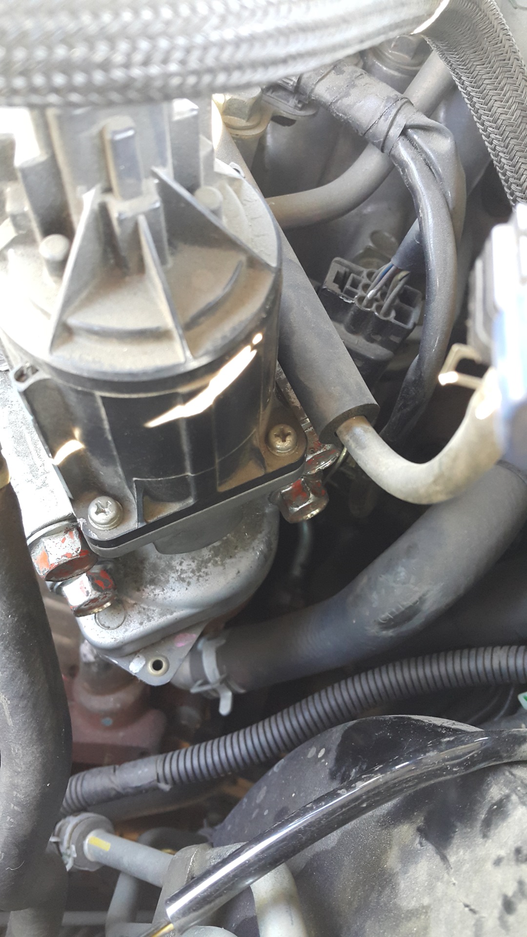 Обрезание Эльки. — Mitsubishi L200 (4G), 2,5 л, 2012 года | стайлинг ...