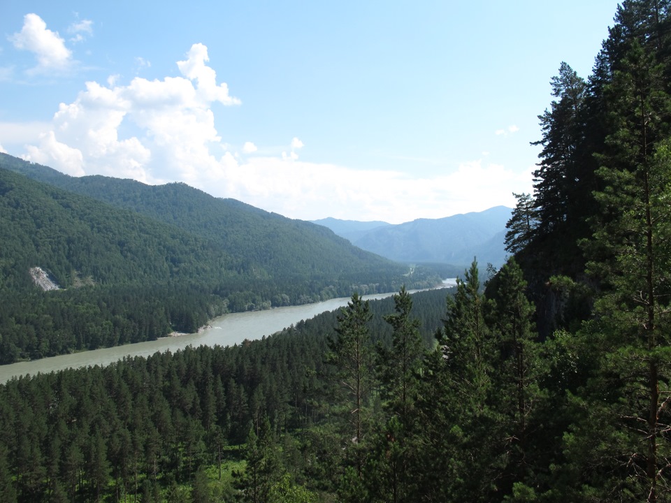 чемальский район заповедный бор. дом участок усть кокса горный алтай. село верх уймон усть коксинский район. участок на алтае. уймон алтай.