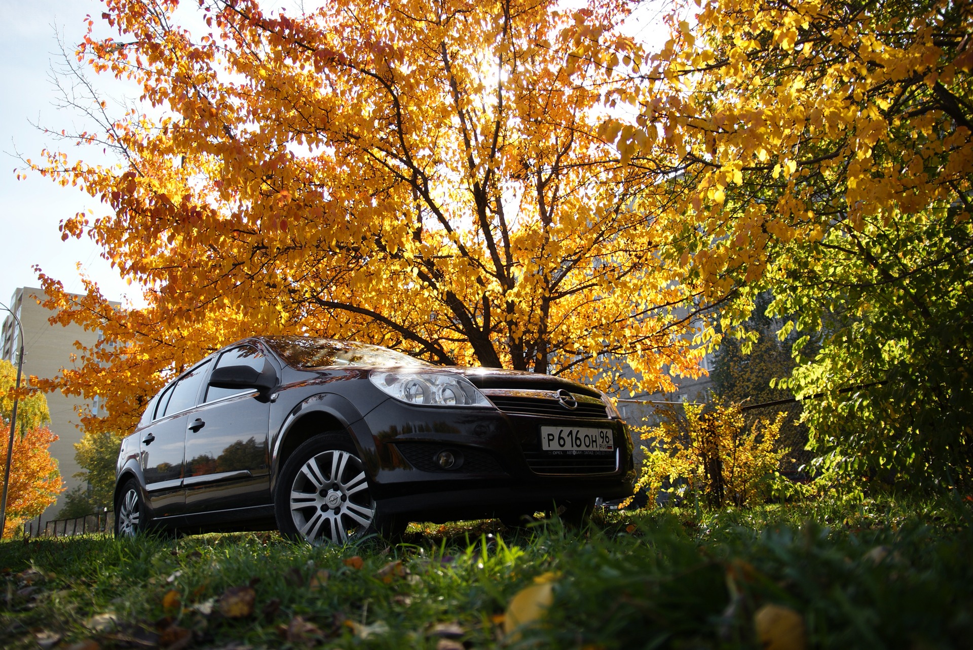Opel astra черный