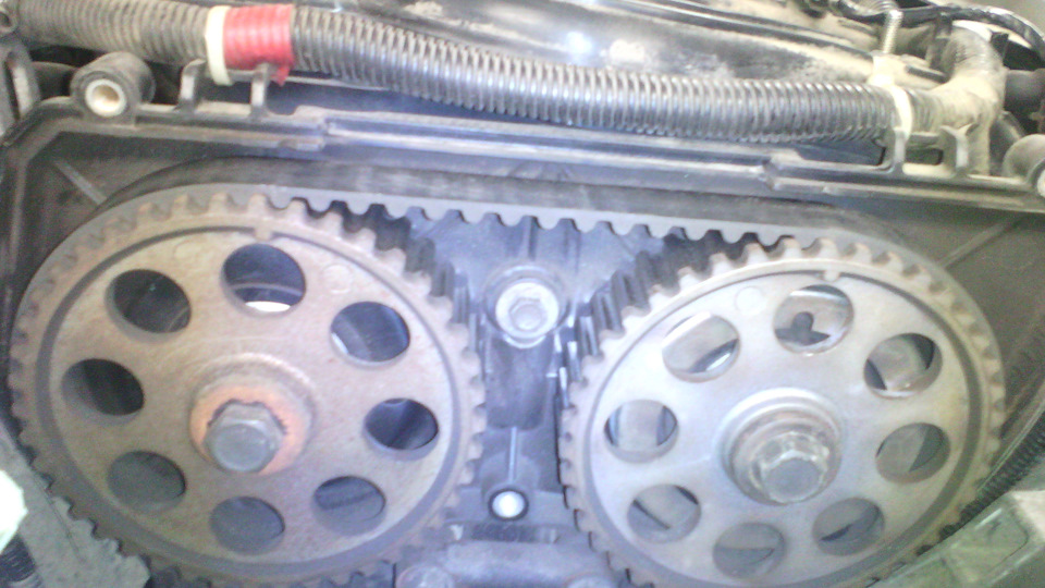 Π² ΠΊΠ°ΠΊΡΡ ΡΡΠΎΡΠΎΠ½Ρ ΠΎΡΠΊΡΡΡΠΈΠ²Π°ΡΡ ΡΠΊΠΈΠ² ΠΊΠΎΠ»Π΅Π½Π²Π°Π»Π° ΠΏΡΠΈΠΎΡΠ° 16 ΠΊΠ»Π°ΠΏΠ°Π½ΠΎΠ². Π‘ΠΌΠΎΡΡΠ΅ΡΡ ΡΠΎΡΠΎ Π² ΠΊΠ°ΠΊΡΡ ΡΡΠΎΡΠΎΠ½Ρ ΠΎΡΠΊΡΡΡΠΈΠ²Π°ΡΡ ΡΠΊΠΈΠ² ΠΊΠΎΠ»Π΅Π½Π²Π°Π»Π° ΠΏΡΠΈΠΎΡΠ° 16 ΠΊΠ»Π°ΠΏΠ°Π½ΠΎΠ². Π‘ΠΌΠΎΡΡΠ΅ΡΡ ΠΊΠ°ΡΡΠΈΠ½ΠΊΡ Π² ΠΊΠ°ΠΊΡΡ ΡΡΠΎΡΠΎΠ½Ρ ΠΎΡΠΊΡΡΡΠΈΠ²Π°ΡΡ ΡΠΊΠΈΠ² ΠΊΠΎΠ»Π΅Π½Π²Π°Π»Π° ΠΏΡΠΈΠΎΡΠ° 16 ΠΊΠ»Π°ΠΏΠ°Π½ΠΎΠ². ΠΠ°ΡΡΠΈΠ½ΠΊΠ° ΠΏΡΠΎ Π² ΠΊΠ°ΠΊΡΡ ΡΡΠΎΡΠΎΠ½Ρ ΠΎΡΠΊΡΡΡΠΈΠ²Π°ΡΡ ΡΠΊΠΈΠ² ΠΊΠΎΠ»Π΅Π½Π²Π°Π»Π° ΠΏΡΠΈΠΎΡΠ° 16 ΠΊΠ»Π°ΠΏΠ°Π½ΠΎΠ². Π€ΠΎΡΠΎ Π² ΠΊΠ°ΠΊΡΡ ΡΡΠΎΡΠΎΠ½Ρ ΠΎΡΠΊΡΡΡΠΈΠ²Π°ΡΡ ΡΠΊΠΈΠ² ΠΊΠΎΠ»Π΅Π½Π²Π°Π»Π° ΠΏΡΠΈΠΎΡΠ° 16 ΠΊΠ»Π°ΠΏΠ°Π½ΠΎΠ² Π² ΠΊΠ°ΠΊΡΡ ΡΡΠΎΡΠΎΠ½Ρ ΠΎΡΠΊΡΡΡΠΈΠ²Π°ΡΡ ΡΠΊΠΈΠ² ΠΊΠΎΠ»Π΅Π½Π²Π°Π»Π° ΠΏΡΠΈΠΎΡΠ° 16 ΠΊΠ»Π°ΠΏΠ°Π½ΠΎΠ². Π‘ΠΌΠΎΡΡΠ΅ΡΡ ΡΠΎΡΠΎ Π² ΠΊΠ°ΠΊΡΡ ΡΡΠΎΡΠΎΠ½Ρ ΠΎΡΠΊΡΡΡΠΈΠ²Π°ΡΡ ΡΠΊΠΈΠ² ΠΊΠΎΠ»Π΅Π½Π²Π°Π»Π° ΠΏΡΠΈΠΎΡΠ° 16 ΠΊΠ»Π°ΠΏΠ°Π½ΠΎΠ². Π‘ΠΌΠΎΡΡΠ΅ΡΡ ΠΊΠ°ΡΡΠΈΠ½ΠΊΡ Π² ΠΊΠ°ΠΊΡΡ ΡΡΠΎΡΠΎΠ½Ρ ΠΎΡΠΊΡΡΡΠΈΠ²Π°ΡΡ ΡΠΊΠΈΠ² ΠΊΠΎΠ»Π΅Π½Π²Π°Π»Π° ΠΏΡΠΈΠΎΡΠ° 16 ΠΊΠ»Π°ΠΏΠ°Π½ΠΎΠ². ΠΠ°ΡΡΠΈΠ½ΠΊΠ° ΠΏΡΠΎ Π² ΠΊΠ°ΠΊΡΡ ΡΡΠΎΡΠΎΠ½Ρ ΠΎΡΠΊΡΡΡΠΈΠ²Π°ΡΡ ΡΠΊΠΈΠ² ΠΊΠΎΠ»Π΅Π½Π²Π°Π»Π° ΠΏΡΠΈΠΎΡΠ° 16 ΠΊΠ»Π°ΠΏΠ°Π½ΠΎΠ². Π€ΠΎΡΠΎ Π² ΠΊΠ°ΠΊΡΡ ΡΡΠΎΡΠΎΠ½Ρ ΠΎΡΠΊΡΡΡΠΈΠ²Π°ΡΡ ΡΠΊΠΈΠ² ΠΊΠΎΠ»Π΅Π½Π²Π°Π»Π° ΠΏΡΠΈΠΎΡΠ° 16 ΠΊΠ»Π°ΠΏΠ°Π½ΠΎΠ²