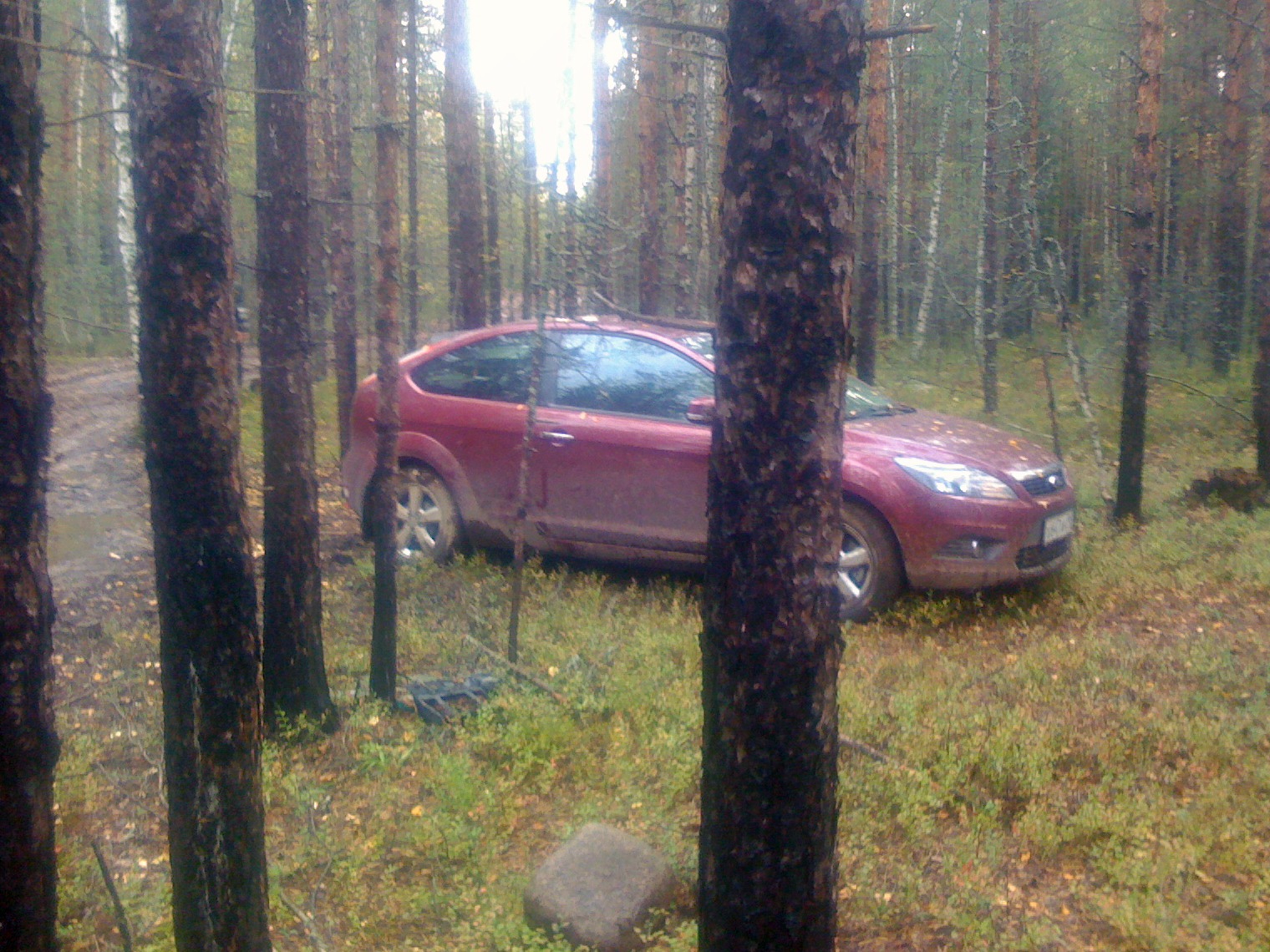 Глава1:Фокус грязи не боится или проходимец по лужам. — Ford Focus II  Hatchback, 1,6 л, 2009 года | путешествие | DRIVE2