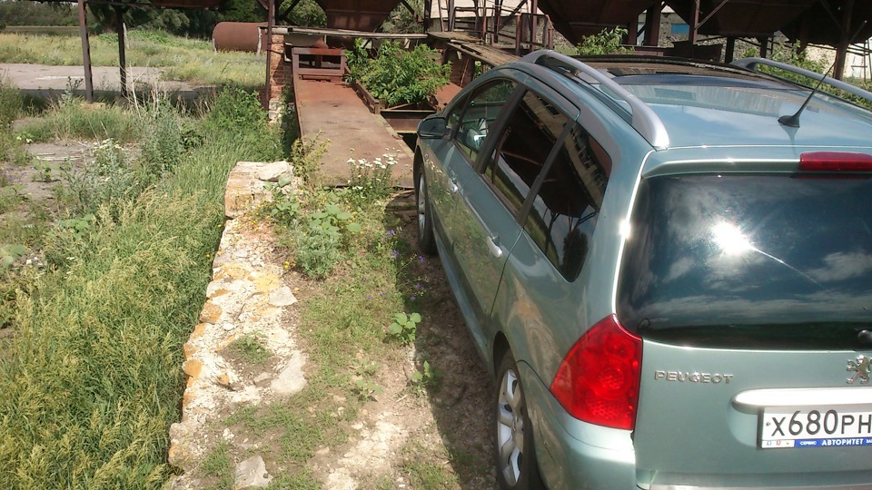 В любимой деревушке на краю 161(Веелка и китайская вишня) — Peugeot 307 ...