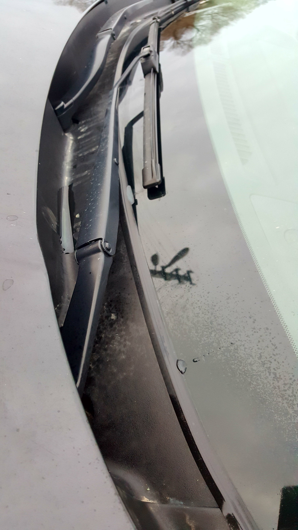 Уплотнитель лобового стекла. — Nissan X-Trail II (t31), 2,5 л, 2011 ...