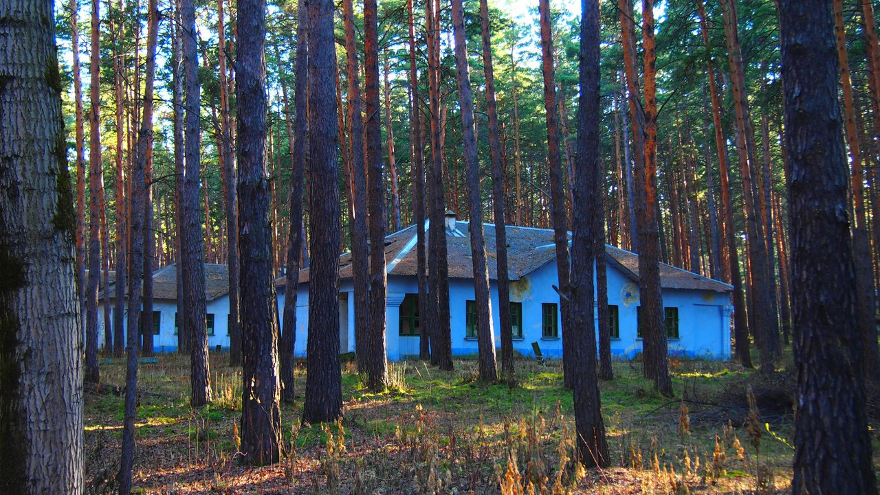 Лагерь звездочка нижегородская область фото