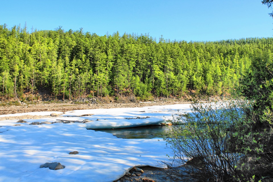 Walk through the taiga rivers1 part