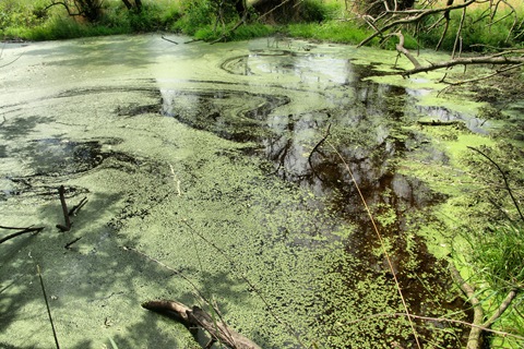 Фото в бортжурнале Mitsubishi L200 (4G)