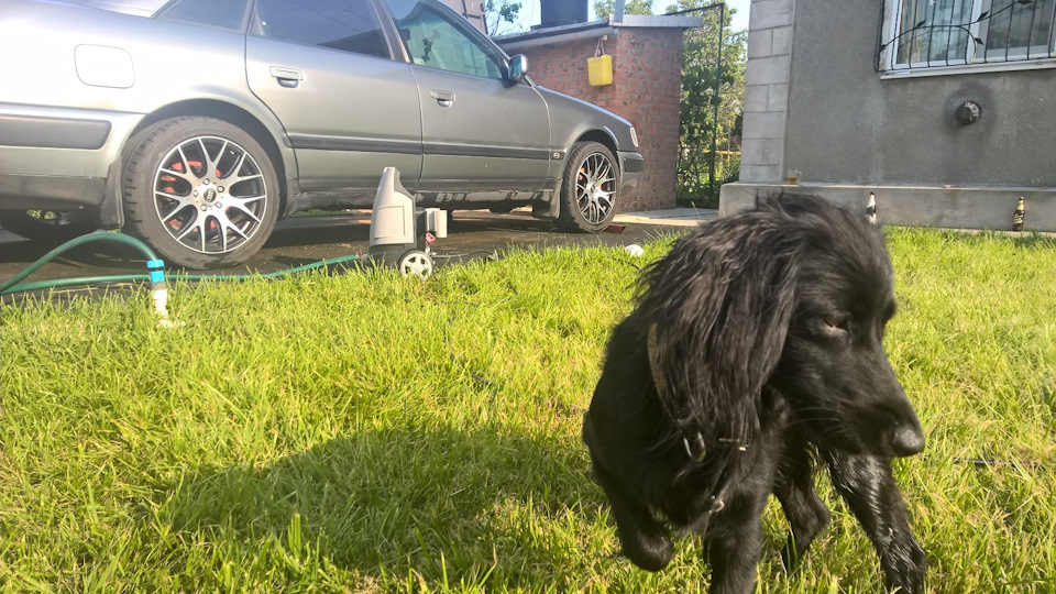 Фото в бортжурнале Audi 100 (C4)