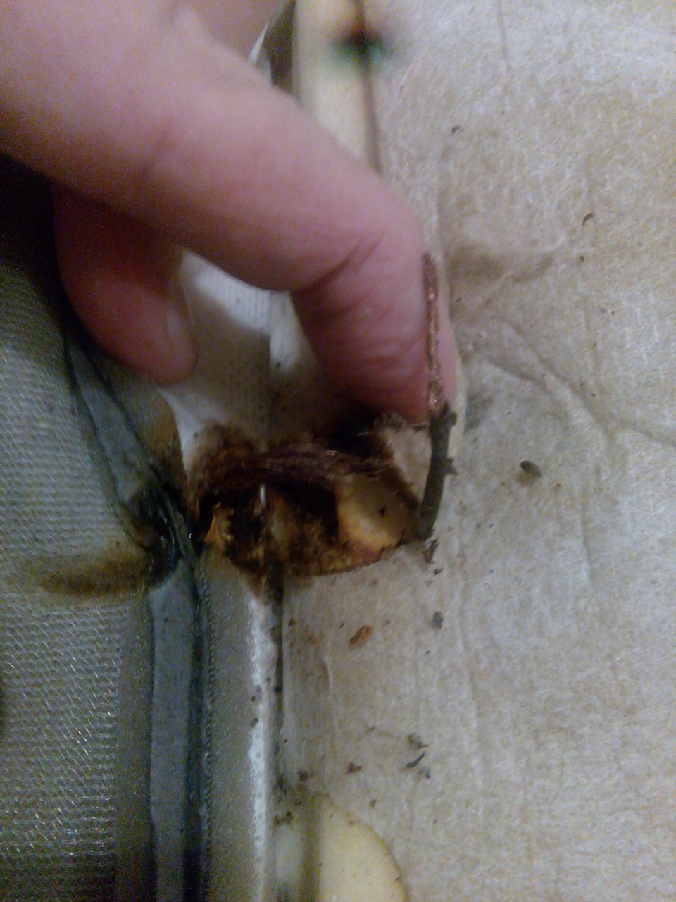 Так было внутри. — Daewoo Gentra