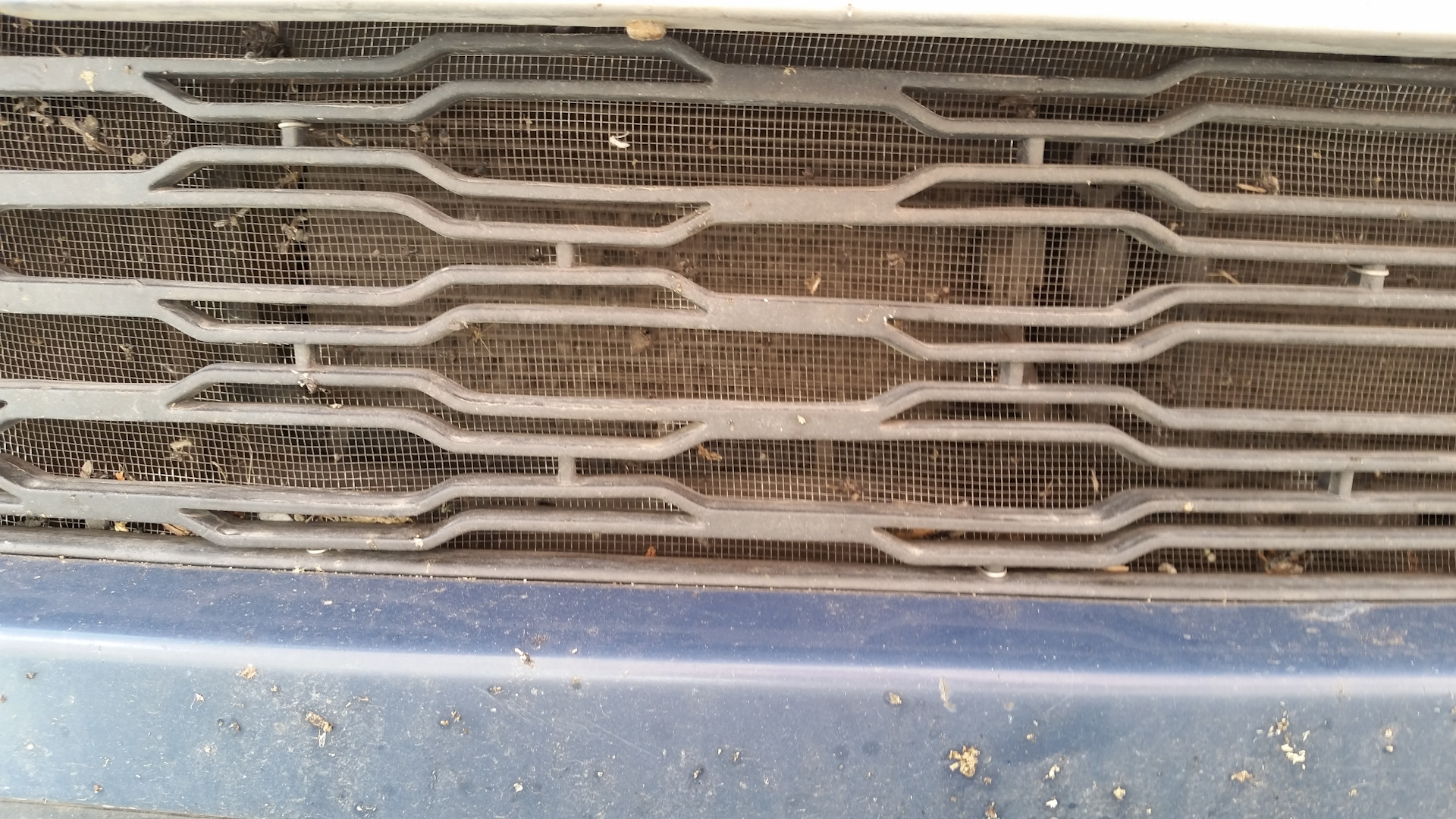 Сетка на решетку радиатора — DRIVE2