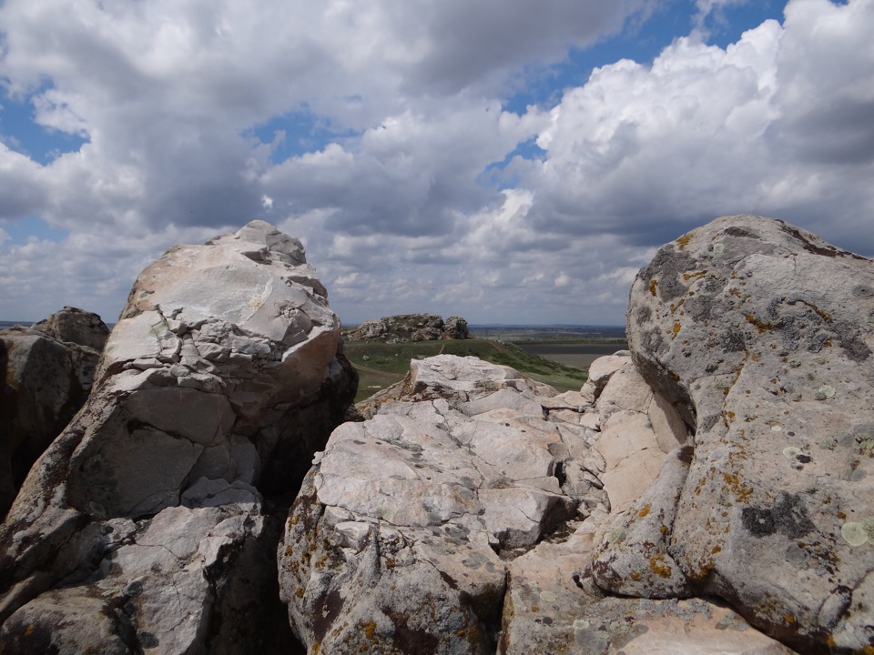 Горы уши в камышине фото