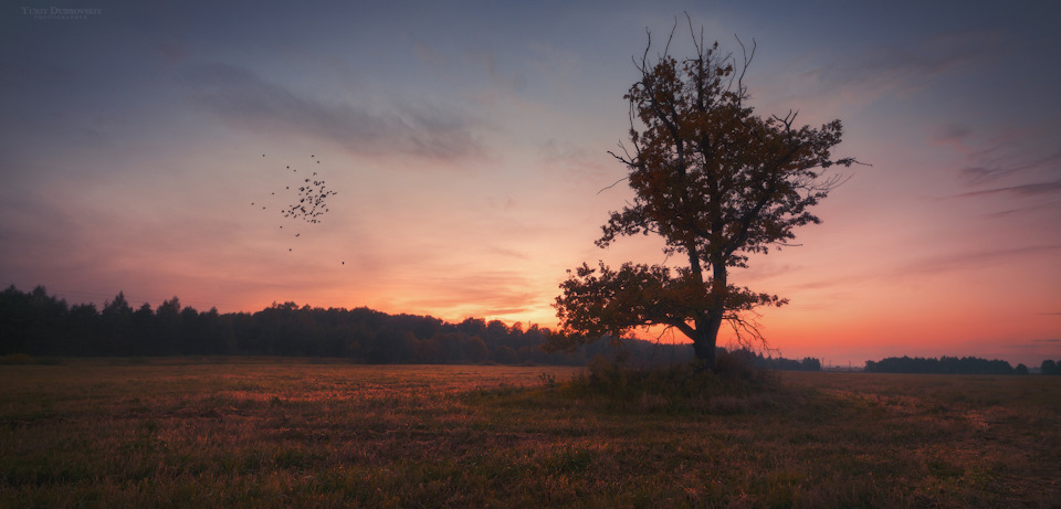 Пустеет воздух, птиц не слышно боле, Но далеко еще до первых зимних ...