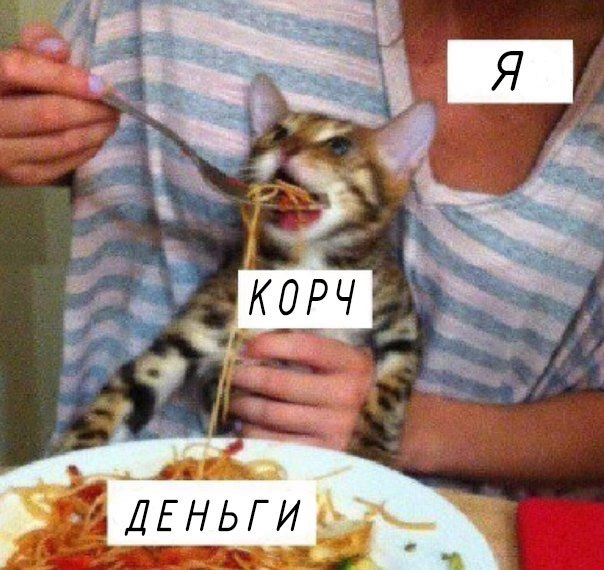 Над чем смеется корчевод — Nissan Silvia (S13), 3 л, 1990 года | прикол ...