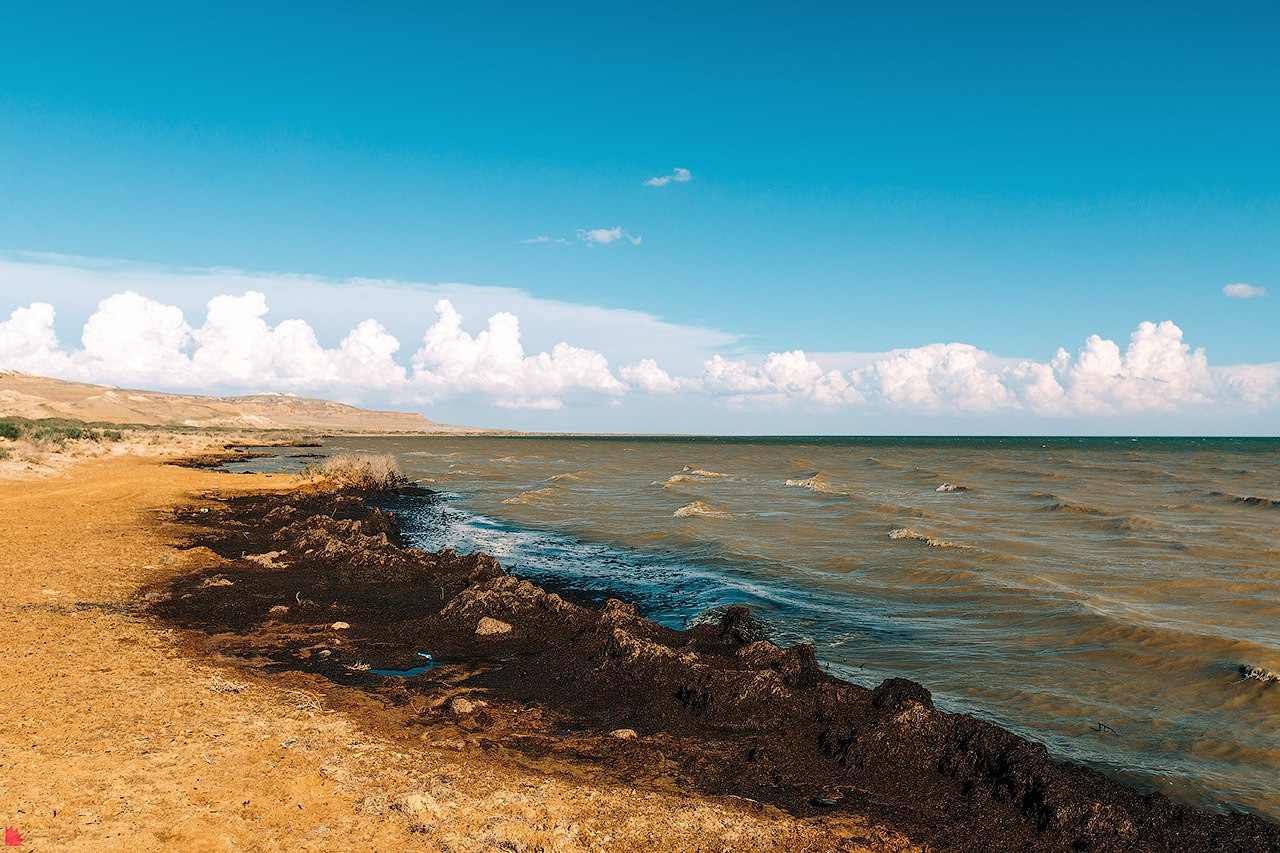погода малый арал. погода в табунах рп5. малый арал казахстан. малый арал сырдарья. табун-арал.