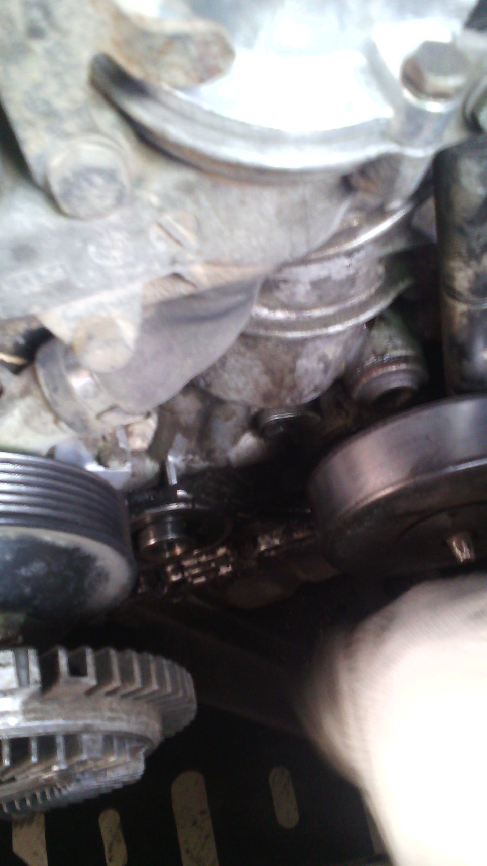 Фото в бортжурнале SsangYong Musso